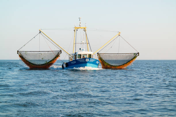 fishing boat or shrimp trawler fishing on waddensea, netherlands - rede de arrastão imagens e fotografias de stock