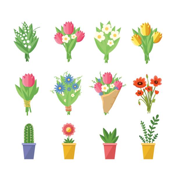 Flowers bouquets set. Flowers bouquets set. Tulips, poppies, chamomile, lilies of the valley, plants. Vector colorful illustration isolated on white bouquet stock illustrations