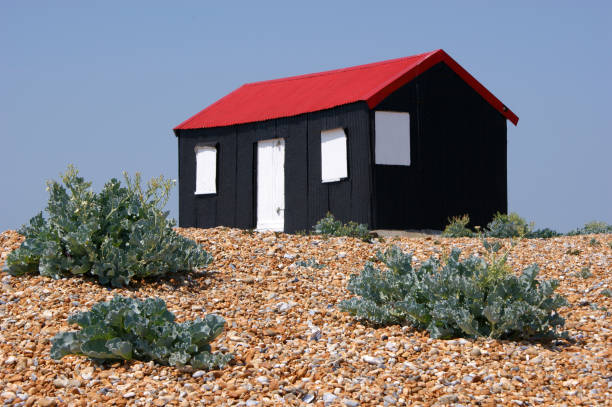 istock Tin Hut on a Beach near Rye 662266140