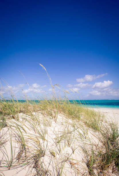 istock grace bay Turks and Caicos Islands 662302374