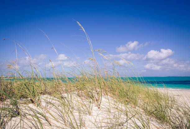 istock grace bay Turks and Caicos Islands 662302806