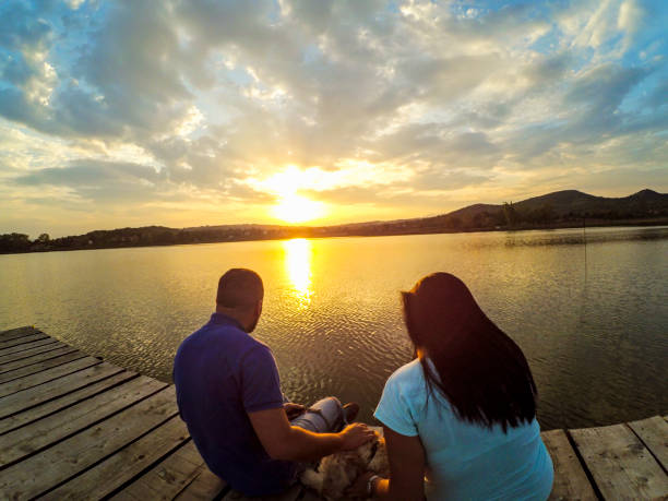 istock Lovely couple sitting at pier with dog 662310316