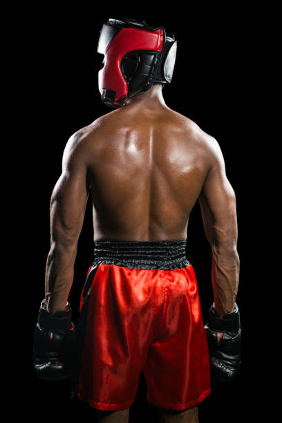 istock Rear view of boxer standing 662341624