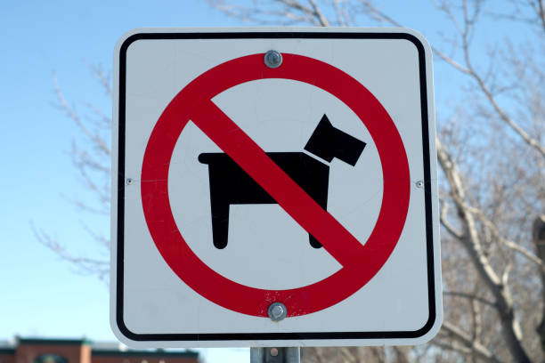 istock no dog allowed sign park rule animal prohibited 662403644