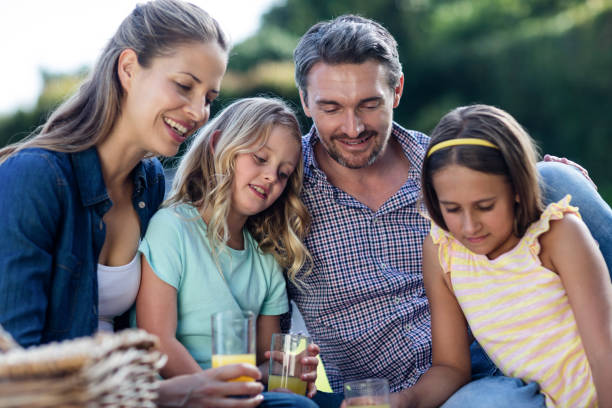 istock Family having a picnic 662434522