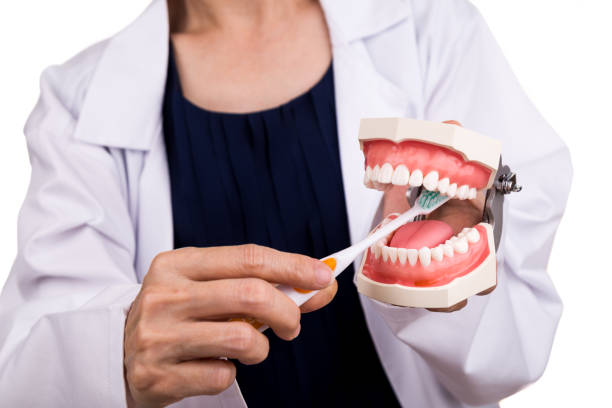 istock Series of dentist showing correct method of brushing teeth 662467868