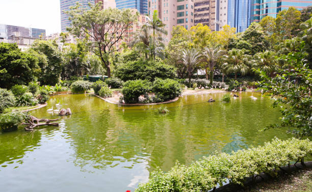 istock Kowloon Park, Hong Kong 662501736