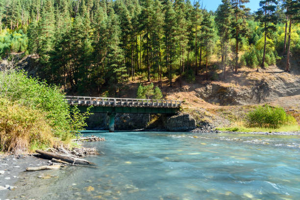 istock Pirikitis Alazani River. Tusheti Nature Reserve. Georgia 662612832