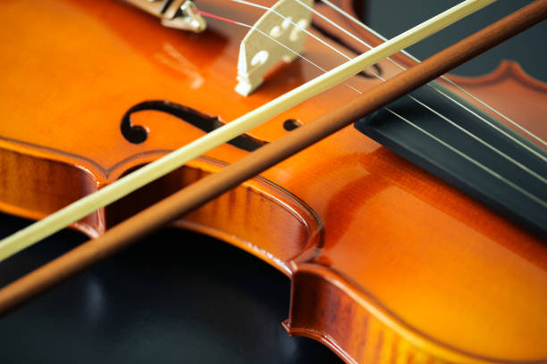 istock Close-up of Violin 662703022