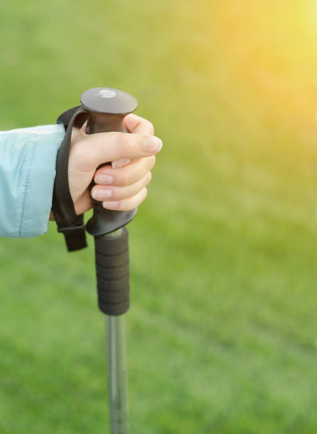 istock Woman hiker walks at sunset. 662798868