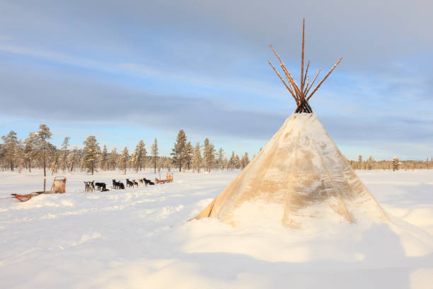 Dog sledding in Lapland Dog sledding in Lapland norrbotten province stock pictures, royalty-free photos & images