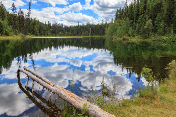 istock Kootenay Lake Canada 662852544