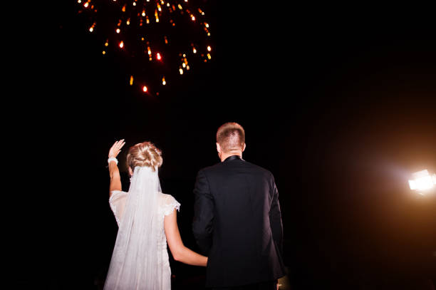 istock Back of wedding couple looking on night sky with fireworks. 662886662