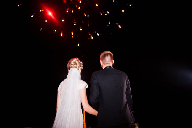 istock Back of wedding couple looking on night sky with fireworks. 662886744
