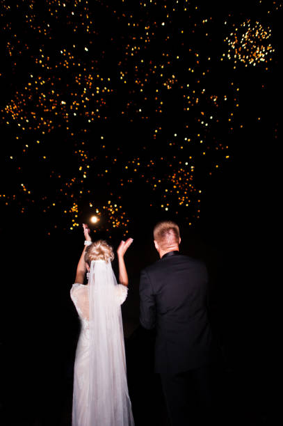 istock Back of wedding couple looking on night sky with fireworks. 662887884