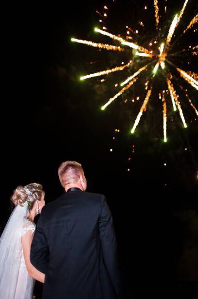 istock Back of wedding couple looking on night sky with fireworks. 662888188