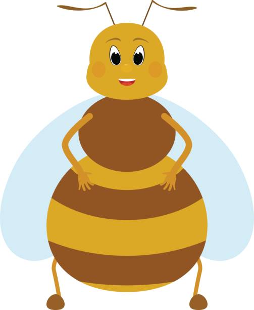 Cartoon Fat Honey Bee Character Stock Illustration - Download Image Now -  Animal, Animal Antenna, Animal Body Part - iStock