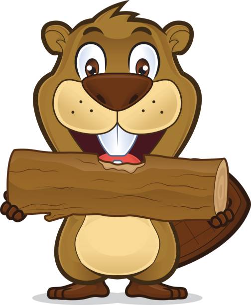 Beaver Eating Wood Stock Illustration - Download Image Now - Beaver, Wood -  Material, Firewood - iStock