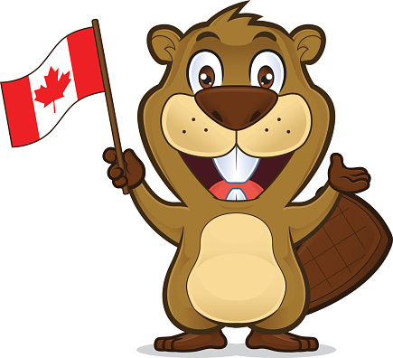 Beaver Holding Canadian Flag Stock Illustration - Download Image Now - Beaver, Canada, Cartoon - iStock Beaver Holding Canadian Flag Stock Illustration - Download Image Now - Beaver, Canada, Cartoon - iStock