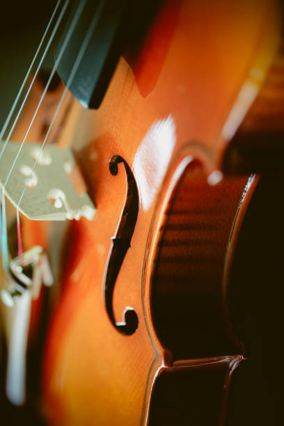 istock Close-up of Violin 662925316