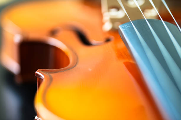 istock Close-up of Violin 662925338