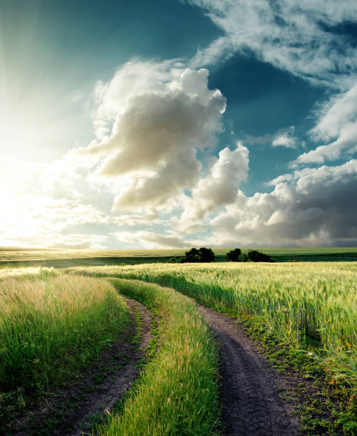 istock road in green field and sunset in clouds 662937120
