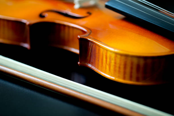 istock Close-up of Violin 662946058