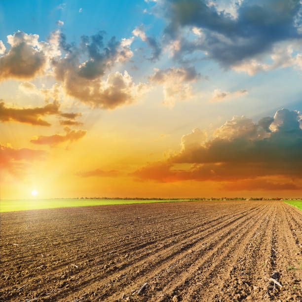 istock orange sunset over agricultural black field in spring 662954594
