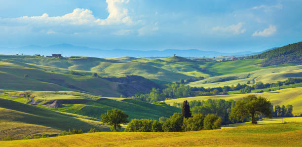 istock Landscape in Tuscany in the spring 662955254