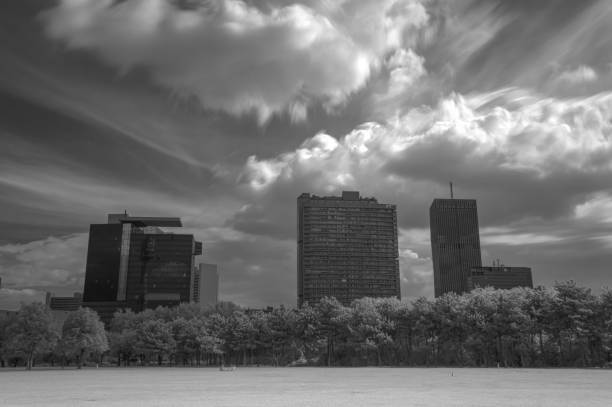 istock Infrared picture including skyline and clouds 663006668