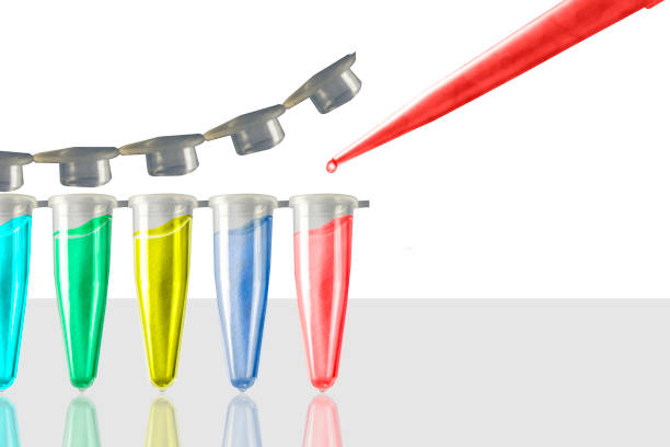 줄기 세포 연구 - pcr device tubing tube microtubes 뉴스 사진 이미지