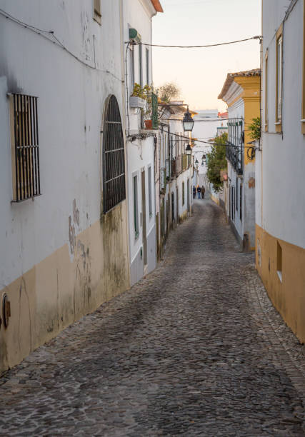 istock Street in Evora 663032950