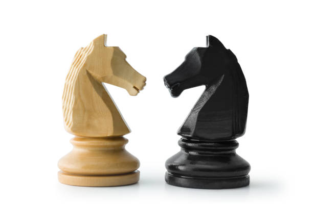 체스 - chess knight 뉴스 사진 이미지