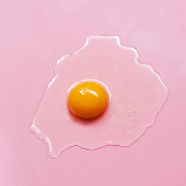 tuorlo d'uovo da vicino - eggs animal egg cracked egg yolk foto e immagini stock