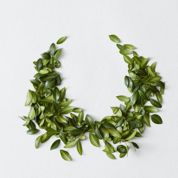 istock Nice ornament of many green leaves 663071112