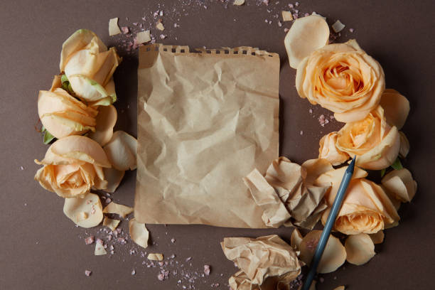istock Sheet of blank paper 663084972