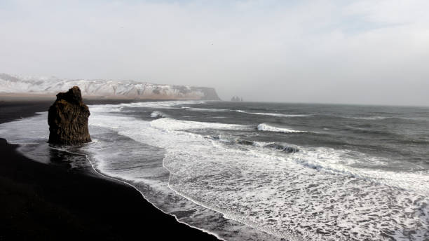 istock Black sand beach, foamy water and snowy mountain 663126518