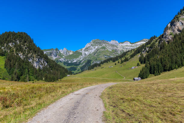 istock Beautiful view on the hiking path toward Santis 663144098