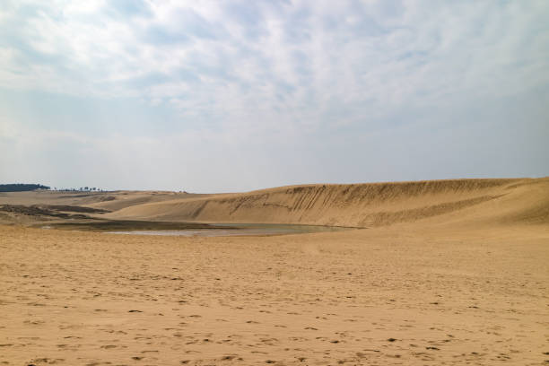 istock Tottori Sand Dunes, Oasis 663170768