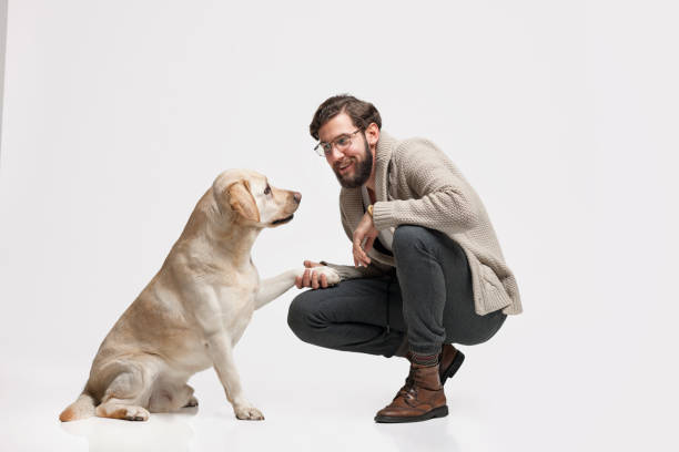 istock Young man with his dog Labrador 663228080