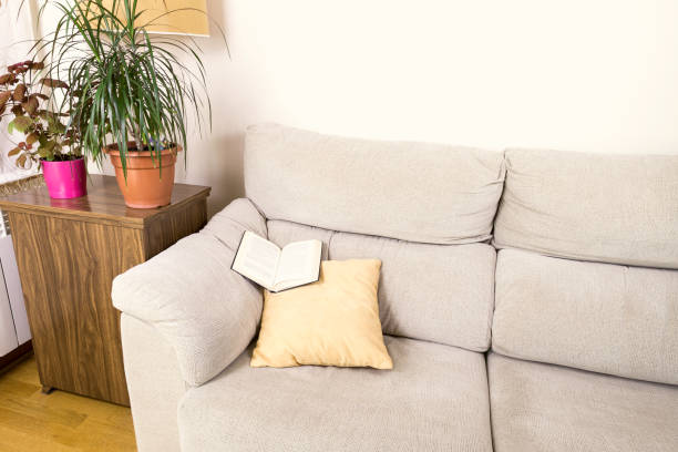istock book on the top of the arm of a sofa 663228358
