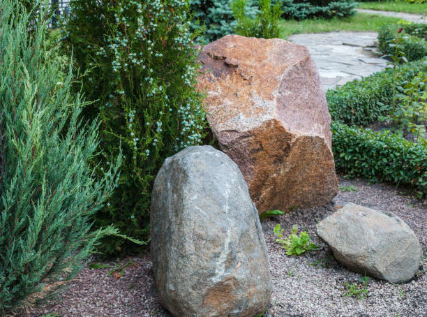 istock Rockery in the garden. 663246538