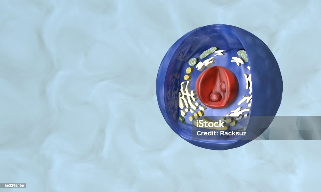 Cell Structure Modeling Cell Structure Model Background 3d Render Stock Photo - Download Image ...