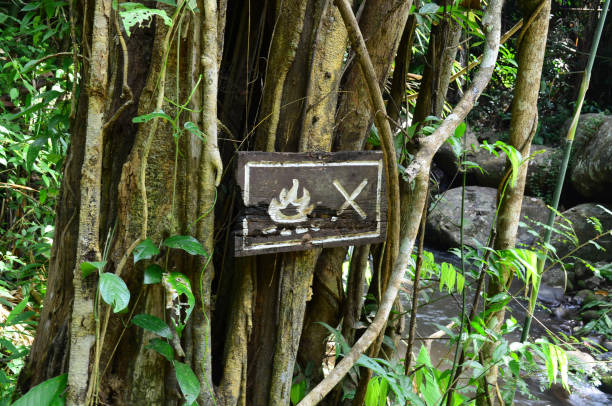 istock No fire sign on wooden board in the forest 663324418