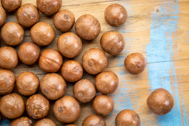 macadamia nuts in shells on a rustic grunge wood - top view