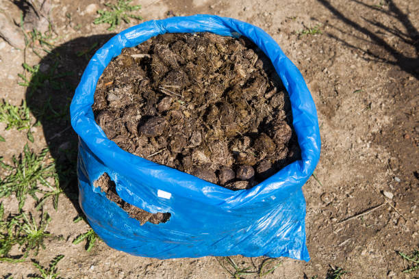 foto de estrume de cavalo no jardim - horse dung - fotografias e filmes do acervo