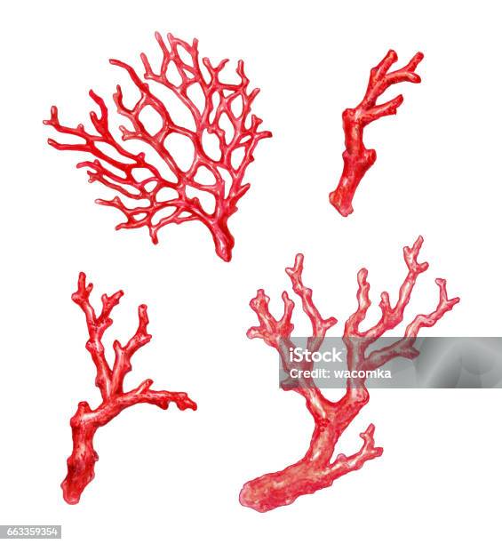 Red Coral Branch Watercolor Illustration Isolated On White Background Stock Illustration - Download Image Now