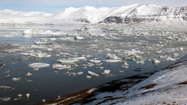 istock Icebergs meltdown in a warm, sunny, winter day 663369900