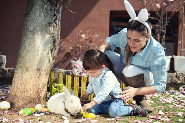 istock Little boy and his mother feeding white rabbit 663382756