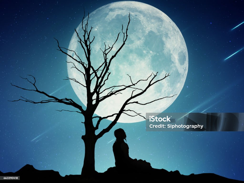 Silhouette Of A Man Sitting Under The Tree Meditating Isolated On Beautiful Background Of Moon Stock Photo - Download Image Now - iStock Silhouette Of A Man Sitting Under The Tree Meditating Isolated On Beautiful Background Of Moon Stock Photo - Download Image Now - iStock